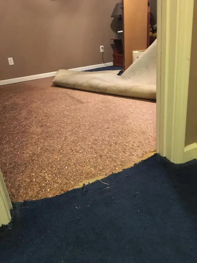 Carpet pad removal revealing water damage during Water Mitigation Services in Warrington